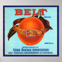 Belt Brand California Oranges