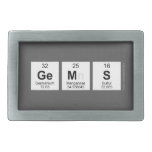GEMS  Belt Buckle