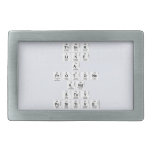 Think 
 like 
 a 
 protone 
 And 
 stay 
 positive  Belt Buckle