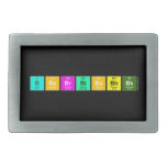 bbebrbibabhbk  Belt Buckle