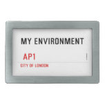 My environment    Belt Buckle