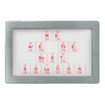 we 
 are the
 best 
 solution  Belt Buckle