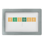success
   Belt Buckle