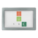 I
 Lv
 13g  Belt Buckle