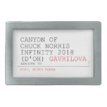 Canyon of chuck norris INFinity 2018 (D'oh)  Belt Buckle