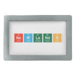 Newlands  Belt Buckle