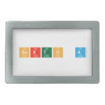 sexto A  Belt Buckle