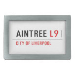 Aintree  Belt Buckle