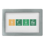 Study  Belt Buckle
