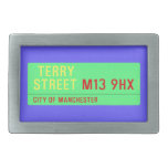  terry Street  Belt Buckle