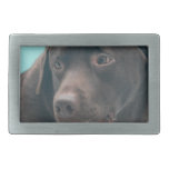 belt buckle - Customized