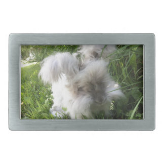Belt Buckle - English Angora "Bradley"