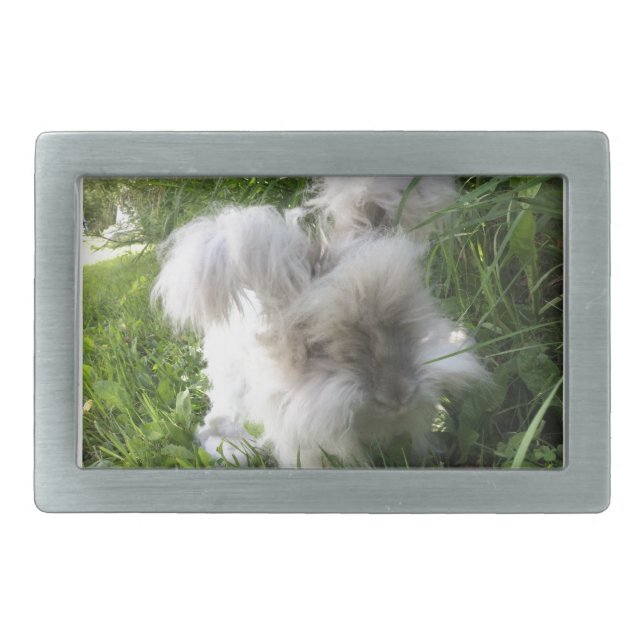 Belt Buckle - English Angora "Bradley" (Front)