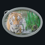 Belt buckle, for sale !<br><div class="desc">Everyone will love ❤ this cool 😎 tiger 🐯 belt buckle.</div>