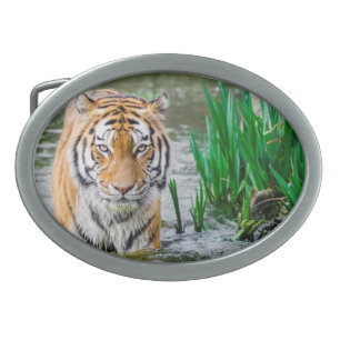 Belt buckle, for sale !