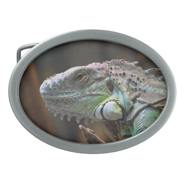Belt Buckle with head of colourful Iguana lizard (Front)