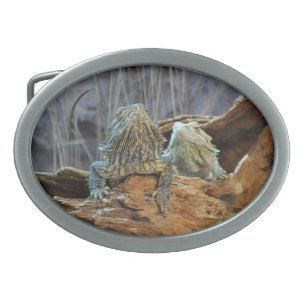 Belt Buckle with two curious lizards