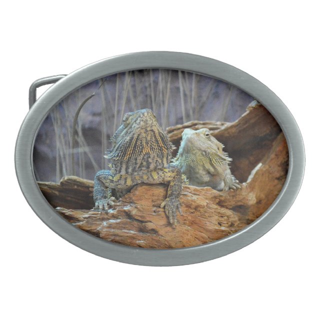 Belt Buckle with two curious lizards (Front)