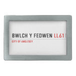 Bwlch Y Fedwen  Belt Buckles