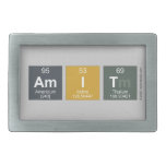 amit  Belt Buckles
