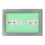 SMART LAB  Belt Buckles