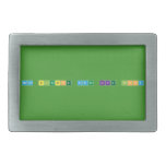 More Blessing Comes Like Flood  Belt Buckles