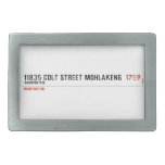 11835 Colt Street Mohlakeng   Belt Buckles