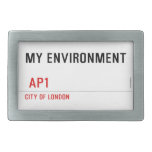 My environment    Belt Buckles