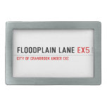 Floodplain lane  Belt Buckles