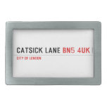 Catsick Lane  Belt Buckles
