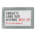 enquete  lons sud  avenue  Belt Buckles