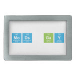 mods gay  Belt Buckles