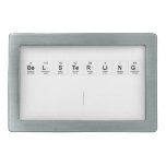 Belsterling
 
   Belt Buckles