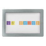 Lite Switch  Belt Buckles