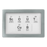 SCOUT
 CUB  Belt Buckles