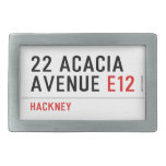 22 ACACIA AVENUE  Belt Buckles