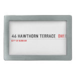 46 Hawthorn Terrace   Belt Buckles