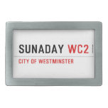 sunaday  Belt Buckles