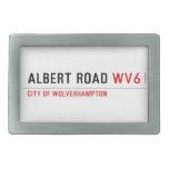 Albert Road  Belt Buckles
