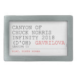 Canyon of chuck norris INFinity 2018 (D'oh)  Belt Buckles