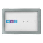 Feliz 2017  Belt Buckles