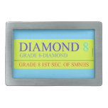 Diamond  Belt Buckles
