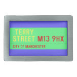  terry Street  Belt Buckles