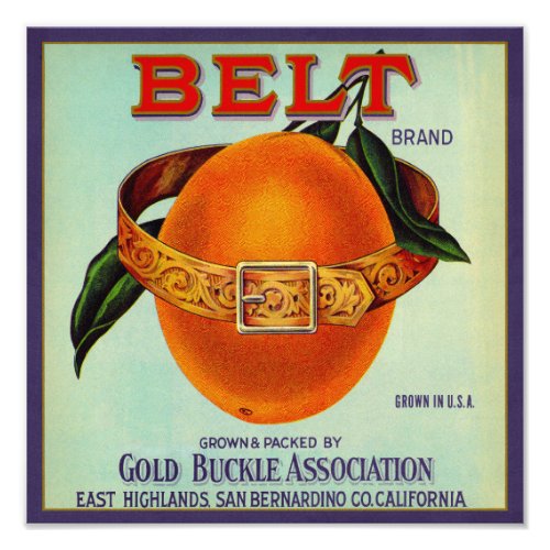 Belt Oranges packing label Photo Print