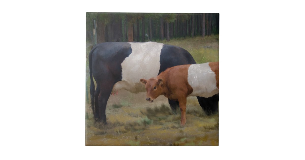 Belted cow and calf with texture tile | Zazzle