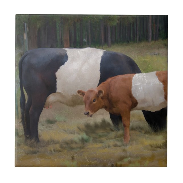 Belted cow and calf with texture tile (Front)