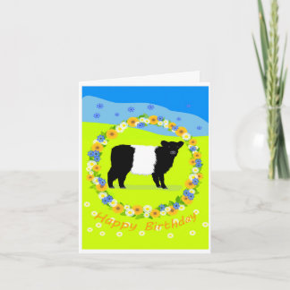 Belted Galloway calf birthday card