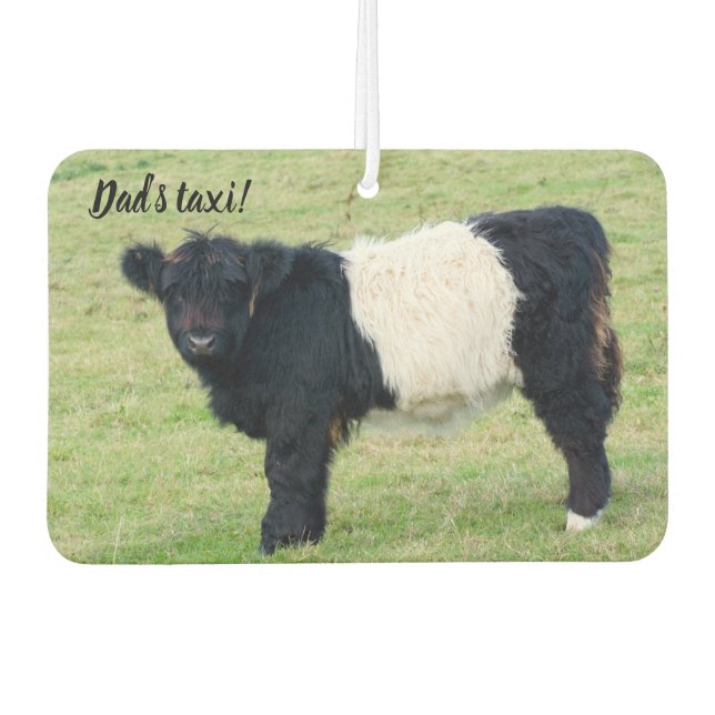 Belted Galloway Calf Car air freshener (Front)