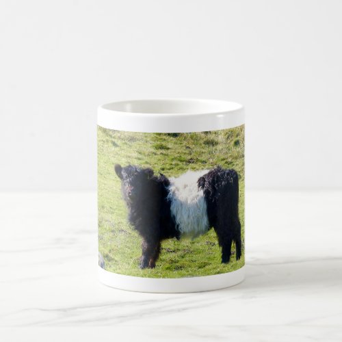 Belted Galloway calf Standard Mug