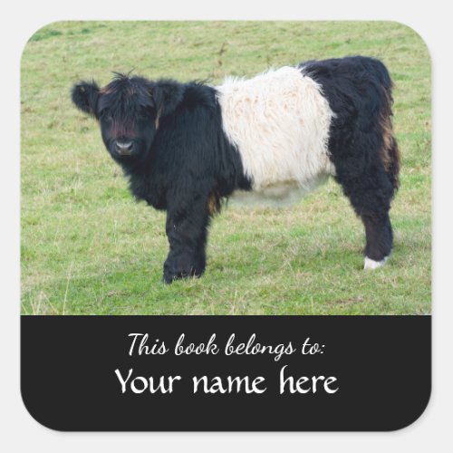 Belted Galloway Calf This book belongs to  Sq Square Sticker